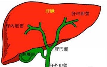 经皮导入器：一种肝胆微创手术利器